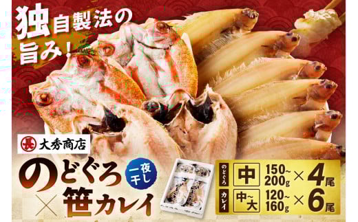 山陰浜田で創業40年大秀商店の「のどぐろ(中）と子持ち笹かれいの干物」魚介類 魚介 魚 セット 加工品 一夜干し 干物 干もの のどぐろ アカムツ 子持ち笹かれい 笹かれい 【038_1122】