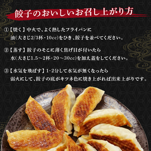 ジャンボ 餃子 60個 餃子