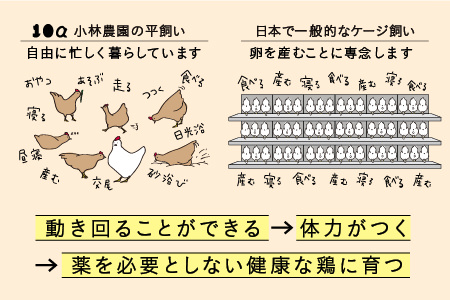 【1018】1年間定期便！こだわりの無投薬･平飼い有精卵＜毎月２５個×１年間＞