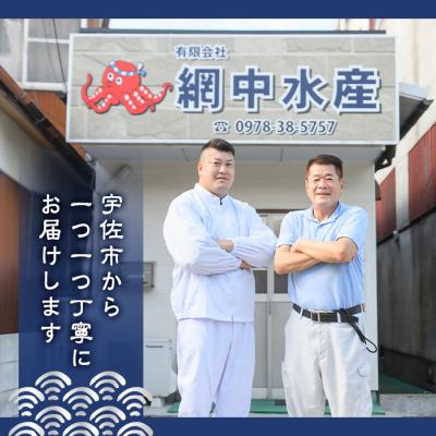 ふるさと納税 宇佐市 真だこのカルパッチョ バジル風味 (計1kg・250g×4P) 【106800402】【網中水産】 |  | 02