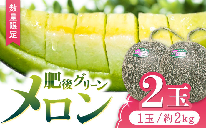 【先行予約】 肥後グリーン メロン 2玉【合同会社 福福堂】 [ZCN003]