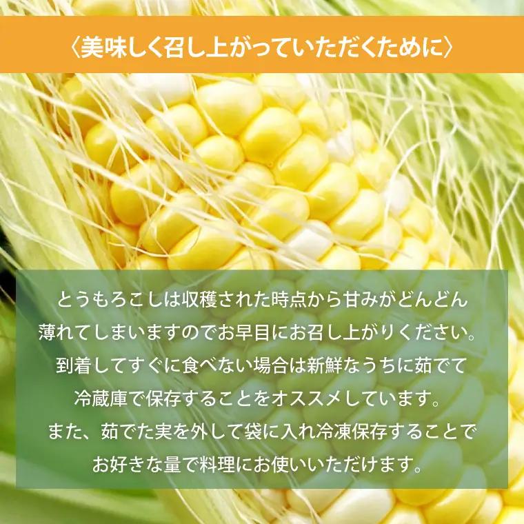 【数量限定】とうもろこし おまかせ1品種（9～10本） 茨城県 水戸市（IW-1）