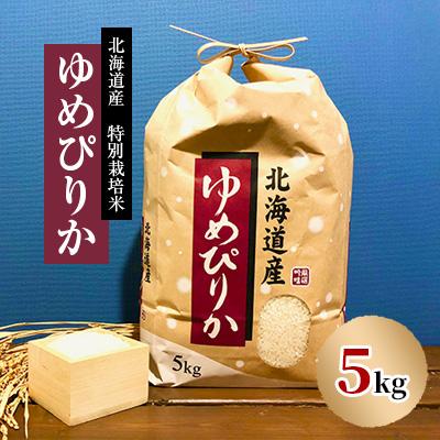 ふるさと納税 長沼町 【先行予約】特別栽培米 令和7年産北海道産ゆめぴりか 5kg精米