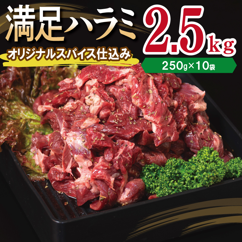 【満足牛ハラミ】オリジナルスパイス仕込み 合計2.5kg 【味付け ハラミ 小分け 焼くだけ 簡単調理 BBQ 牛肉 250g×10P】 099H3706