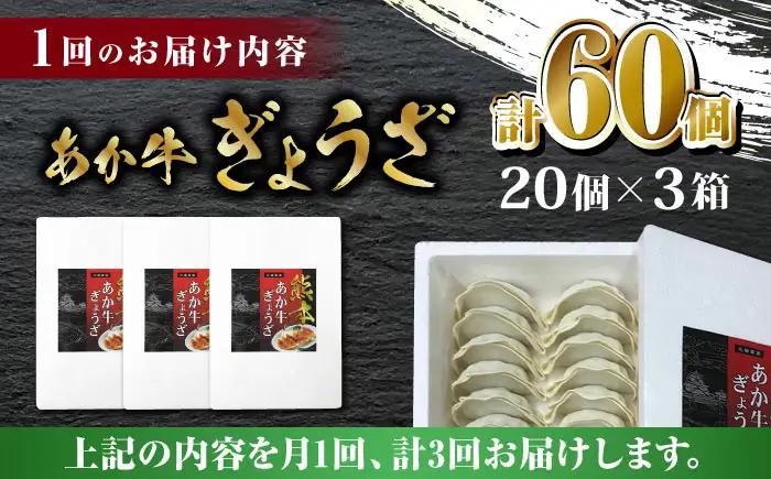 【全3回定期便】熊本和牛 あか牛ぎょうざ 20個×3箱【有限会社 三協畜産】 国産  餃子 ぎょうざ ギョウザ [ZEB060]