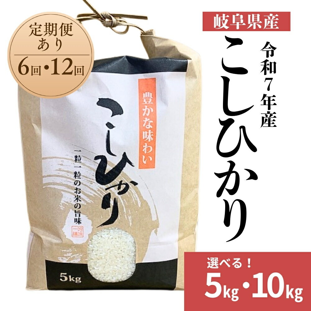 【ふるさと納税】令和7年産 郡上産こしひかり 5kg 10kg 選べる容量 定期便 選べる発送回数 6回 12回 6ヶ月 12ヶ月 食品 米 精米 白米 コシヒカリ お米 コメ こめ 米 14000円 27000円 80000円 160000円 320000円 G0411