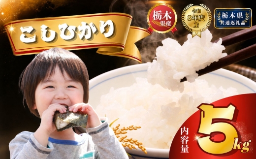 【R8年産】コシヒカリ 5kg | 米 こめ 白米 精米 お米  栃木米 ブランド米 【栃木県共通返礼品 栃木県産】 栃木県 下野市 しもつけ市