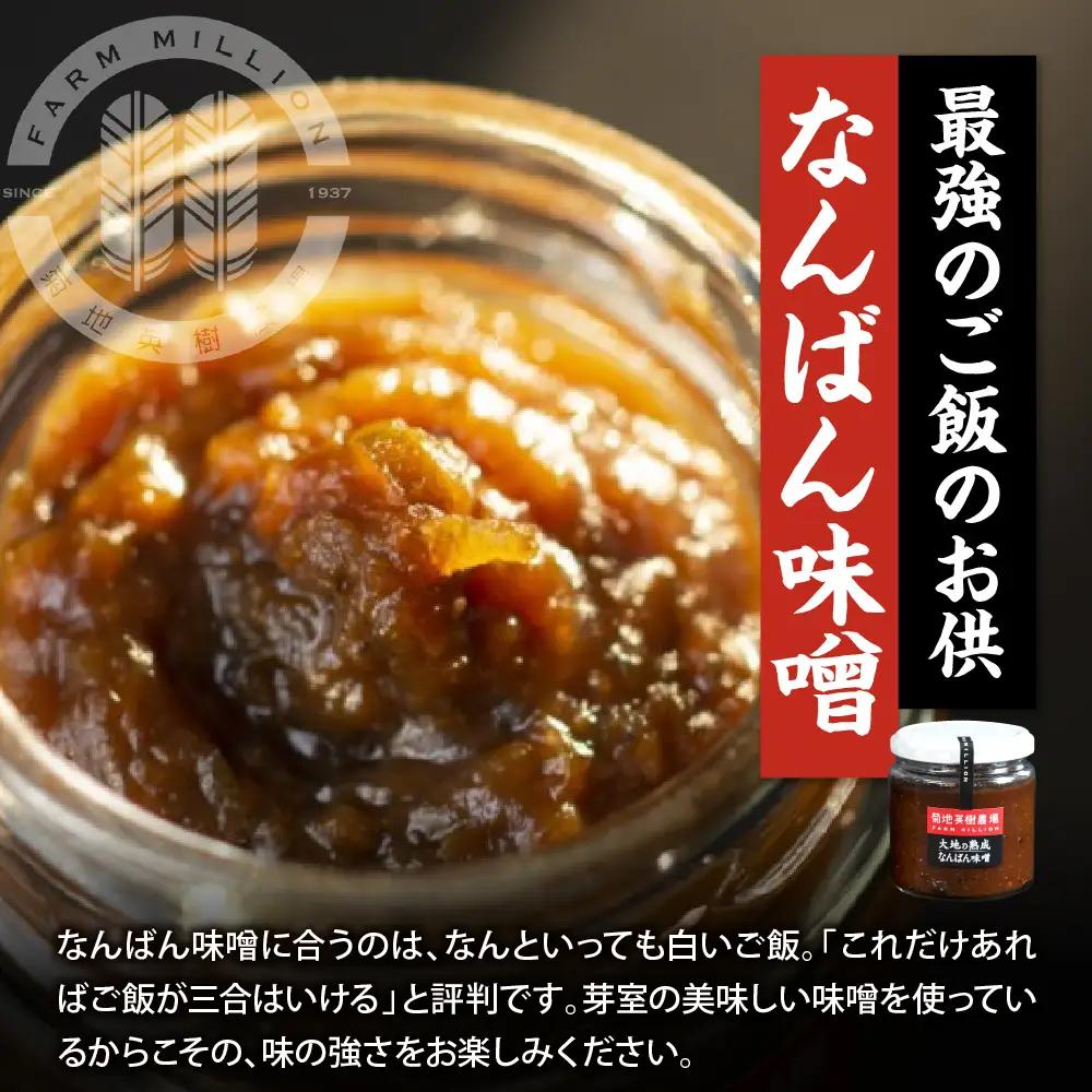 大地の熟成 手造り味噌 700g  なんばん味噌 240g セット 十勝産大豆 調味料 味噌汁 ラーメン うどん パスタ 送料無料 冷蔵発送 北海道 十勝 芽室町me016-006c