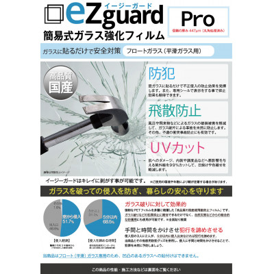 
イージーガード(ezguard)Pro＜6枚入＞【1421908】
