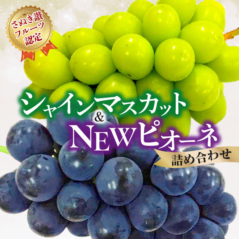 【ふるさと納税】【さぬき讃フルーツ認定】 シャインマスカット＆NEWピオーネ 詰め合わせ 約1kg [ 大粒 種なし 高級 ぶどう 葡萄 ジューシー 皮ごと食べられる フルーツ 果物 人気 ランキング 贈答用 ギフト お取り寄せ 産地直送 送料無料 香川県 三豊市 返礼品 造田商店 ]
