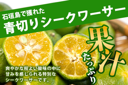 《2025年7月以降順次発送》【先行予約】こだわりの青切りシークワーサー 1.3kg 約40〜60個 【 産地直送 沖縄 石垣島 石垣 八重山 シークワーサー 柑橘 フルーツ くだもの 果物 】TF-
