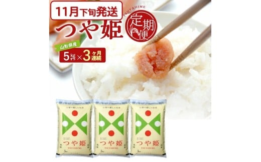 11月下旬発送開始／【3回定期便】令和7年産［精米］特別栽培米 つや姫　5kg×3回(計15kg) JS SG0088
