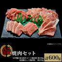 【ふるさと納税】肉 国産 牛肉 A5等級 黒毛和牛 焼肉 豚肉 ロース 焼肉セット600g（2～3人用）A5等級 黒毛和牛ロース 約300gと美星豚ロース 約300g 岡山県産