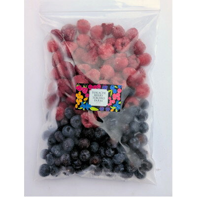 【ふるさと納税】【令和8年8月以降出荷】【北海道十勝産 贅沢ブレンド】冷凍ミックスベリー500g×10袋【配送不可地域：離島】【1677094】