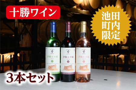 【限定】十勝ワイン いけだワイン城限定3本セット（赤・白・ロゼ）夕映えの城 赤ワイン 白ワイン ロゼ 北海道ワイン 北海道池田町