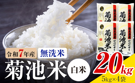 令和7年産 熊本県産 菊池米 白米 無洗米 20kg 1袋5kg 株式会社くまもとごはん 《30日以内に出荷予定(土日祝除く)》米 お米 令和7年産 九州産 熊本県産  送料無料