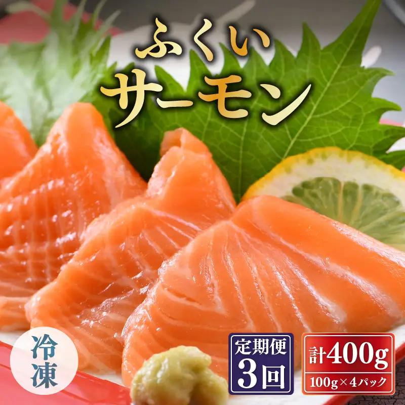 【3ヶ月連続お届け】ふくいサーモン 400g(刺身用) 真空冷凍 100g×4パック×3回【サーモン 鮭 刺身 サケ 小分け 生食 国産】 [D-6202]