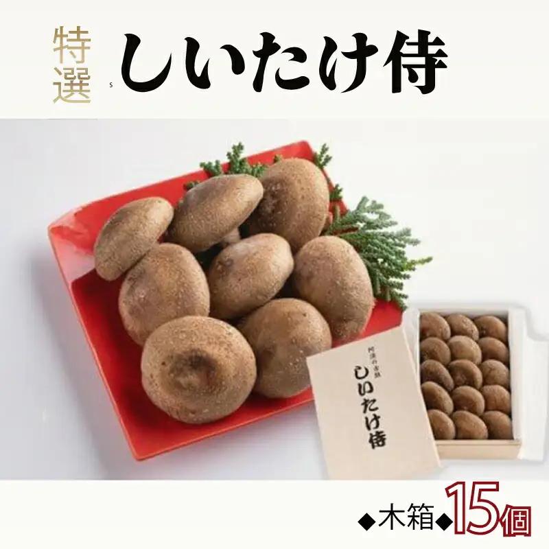 しいたけ侍 木箱 1箱15個入り しいたけ