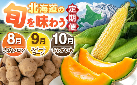 【全3回定期便】 旬の恵み定期便 《喜茂別町》 【Aコープようてい】　野菜 季節の野菜 詰め合わせ 北海道 産地直送 定期便[AJAK025]