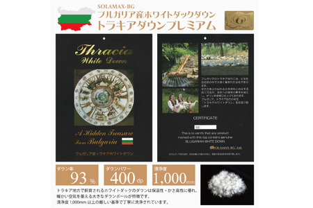 羽毛布団 シングル 冬用 本掛け  80番手サテン (アリーチェブルー 青 柄 )｜