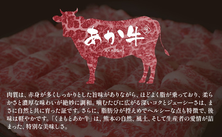 厳選 GI認証 くまもと あか牛 特選 焼肉 500g 桜屋《30日以内に出荷予定(土日祝除く)》 熊本県 産山村 肉 焼肉 GI認証 送料無料