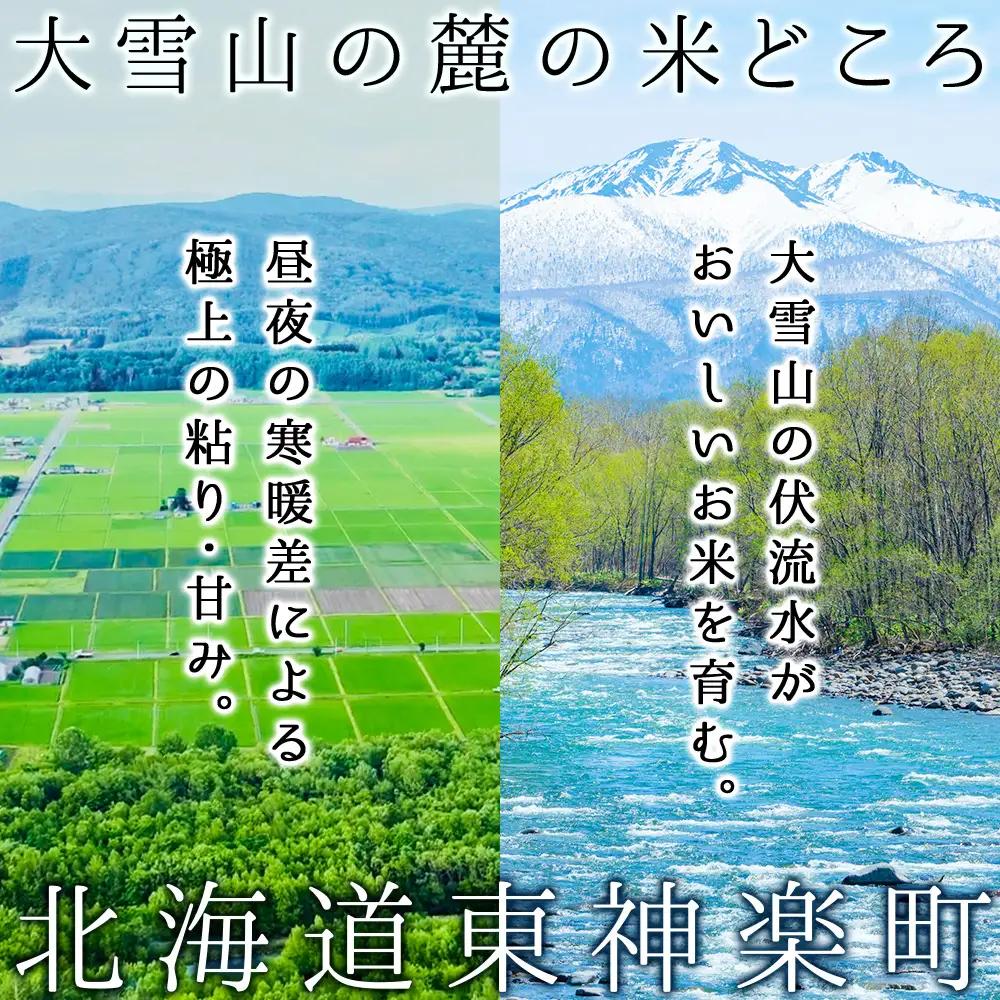 【お米の定期便】ななつぼし 普通精米 5kg 全6回