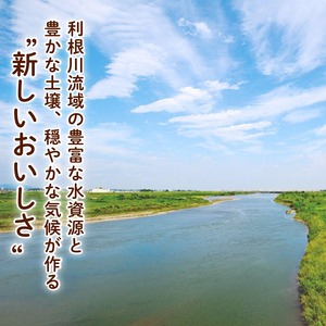 新米 精米 10kg 令和6年 彩のきずな 米10kg 米5kg × 2袋 国産 米 おこめ お米 白米 ご飯 ごはん ブランド米 ご飯 JAほくさい 送料無料 ふるさと納税 埼玉県 羽生市