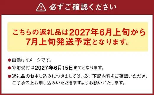 熊本県産 スイートコーン ミルキースイーツ 約5kg とうもろこし やさい 野菜 トウモロコシ【2027年6月上旬から7月上旬発送予定】