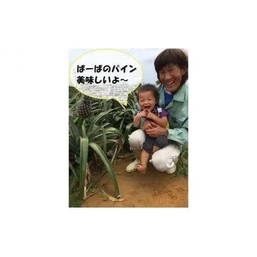 島パイン (ハワイ種) 約5kg