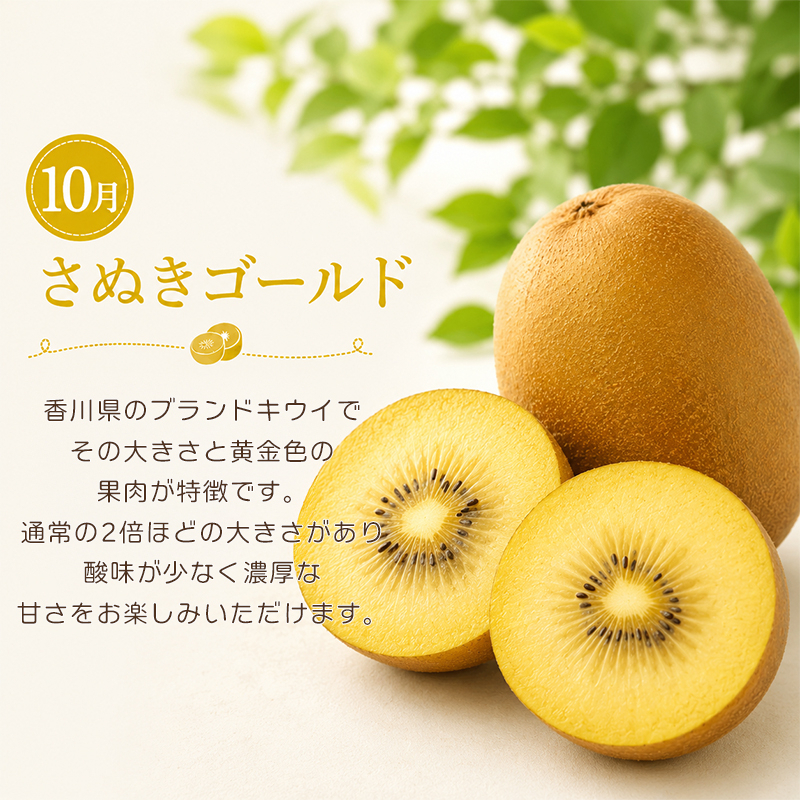 定期便 3回 シャインマスカット キウイ ぶどう ゴールドキウイ 野菜 セット 旬 季節 秋 果物 フルーツ 旬 旬のフルーツ 贈答用 ギフト プレゼント 香川県 丸亀市