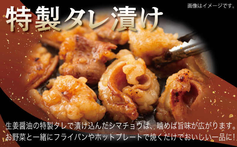 牛シマチョウ 焼肉用 塩麹・タレ漬けセット 合計1.5kg【味付け 小分け 焼くだけ 簡単調理 BBQ 牛肉 ホルモン 250g×6袋】 099H3379_イメージ3