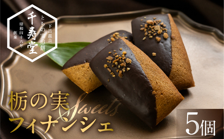 栃の実ショコラフィナンシェ 5個 ショコラ ココア フィナンシェ お菓子 チョコ 贈答 ギフト おすすめ とちのみ 栃の実 焼菓子 洋菓子【6-7】