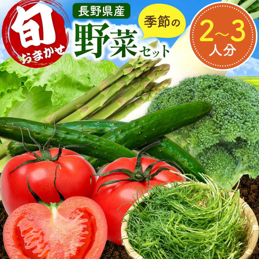 【ふるさと納税】おまかせ野菜セット 2～3人分 約 5kg | 野菜 やさい 旬 の 野菜 おまかせ セット 長野県 塩尻市