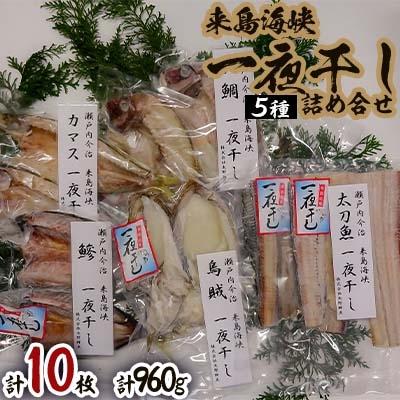 ふるさと納税 今治市 来島海峡一夜干し　詰め合せ【B240】