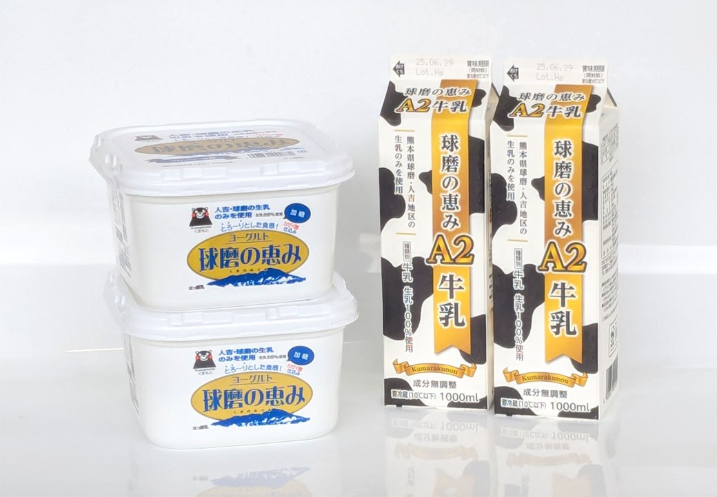 
            球磨の恵み「A2牛乳」と「球磨の恵みヨーグルト（加糖）」セット 牛乳 ミルク Bカゼイン βカゼイン ヨーグルト 乳製品 生乳 朝食 冷蔵 九州 熊本県産 人吉球磨 相良村
          