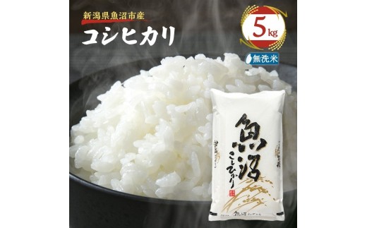 
                  [№5762-1362]【先行予約 令和8年産】 雪国逸品 無洗米5kg 越後魚沼郷    魚沼産コシヒカリ
                