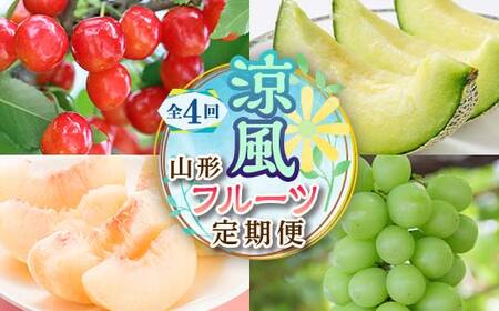 【2026年度 先行予約】涼風フルーツ定期便 全4回 さくらんぼ メロン 桃 シャインマスカット 果物 フルーツ FSY-2069