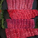 【ふるさと納税】【牧場定期便】1頭まるごと佐賀産和牛の焼肉定期便 全12回：C194-001