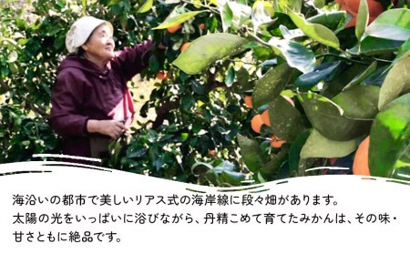 上野果樹園の石地温州 5kg 温州みかん ミカン オレンジ 柑橘類 大分県産 九州産 津久見市 国産