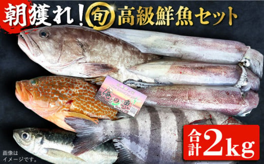 
【五島列島・直送】朝獲れ！高級鮮魚セット2kg 五島市 / 鯛福丸水産 [PDP002]
