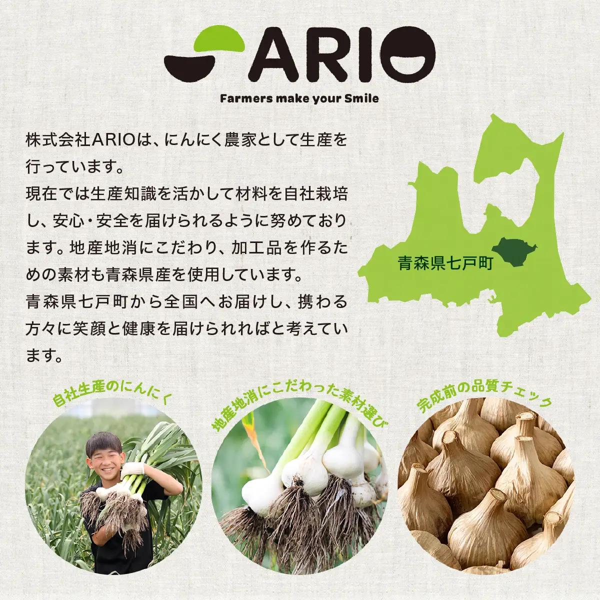 ⿊にんにく 500g×2パック 【国産 にんにく 新鮮 野菜 長期保存 健康 贈り物 ギフト 東北 青森県 七戸町 送料無料】【02402-0387】