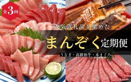 定期便 まんぞく定期便 うなぎ ･ 高級和牛 ･ マグロ【tkb104】