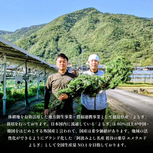 栽培期間中 農薬不使用 よもぎとゆずのお風呂 1パック 1pあたり 125g エメラルドよもぎ 化学肥料不使用 薬草 よもぎ蒸し ヨモギ蒸し よもぎ風呂 よもぎ ゆず 木頭ゆず 健康 美容 血行 肌 