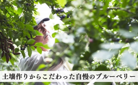 【堀内果実園】奈良県産 特別栽培 ブルーベリー90gx6Pセット | 低農薬 季節限定 奈良県 五條市