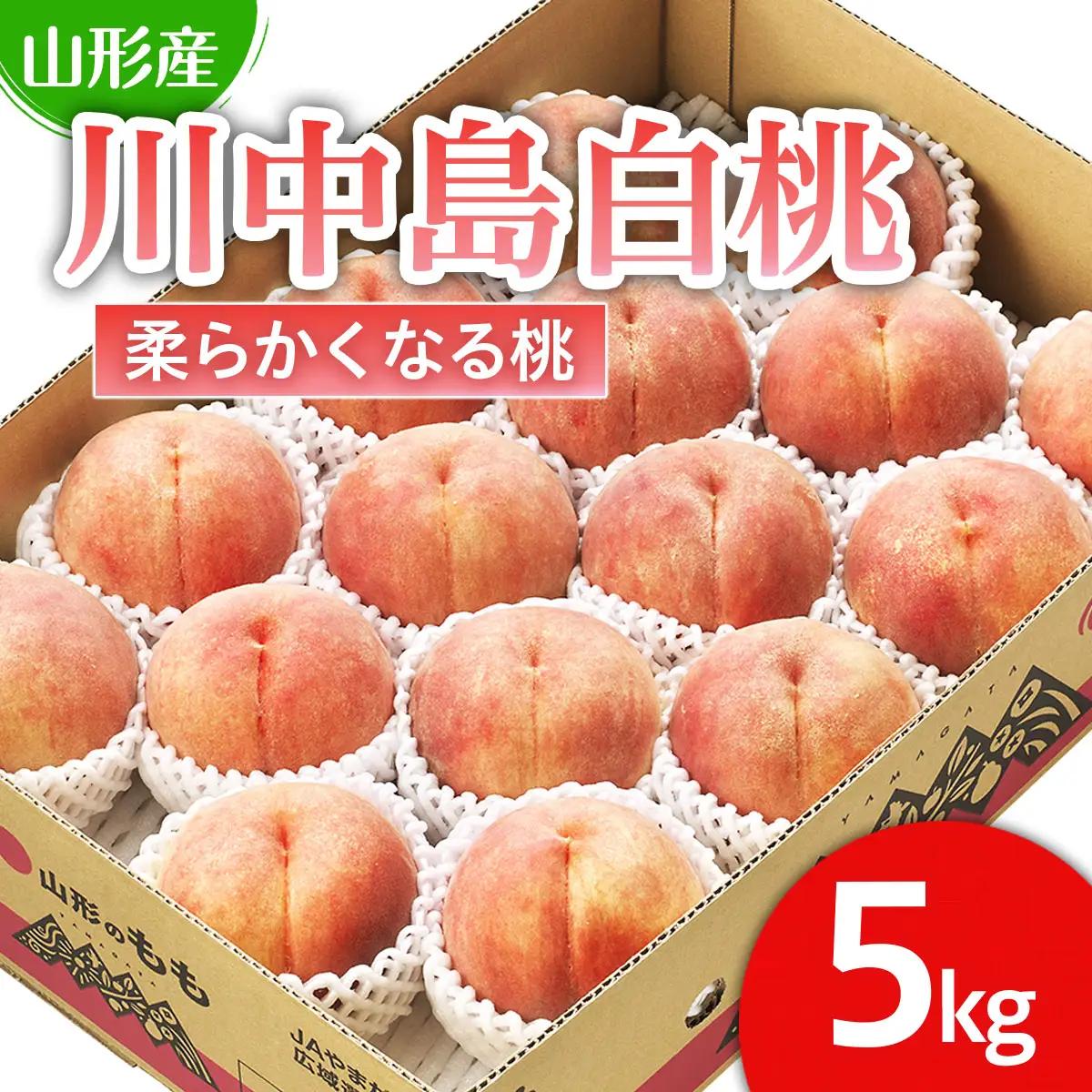 山形市産 桃「川中島白桃」 秀以上 5kg(13玉～18玉)[柔らかくなる桃] 【令和8年産先行予約】FS25-728 くだもの 果物 フルーツ 山形 山形県 山形市 人気 2026年産