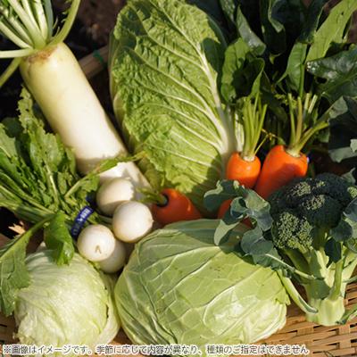ふるさと納税 函南町 伊豆メディカル農園の健康野菜セット |  | 02