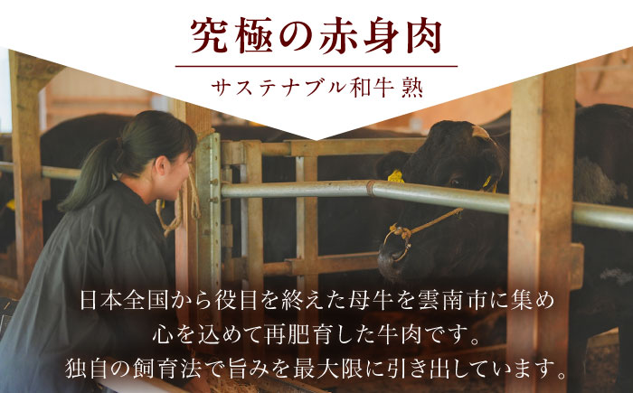 銀のハンバーグ ゴルゴンゾーラチーズソース 150g×4個 サステナブル和牛 牛肉 加工品 ギフト包装 島根県雲南市/株式会社熟豊ファーム [AIAT022]