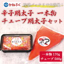 【ふるさと納税】かねふく〈無着色〉辛子明太子170g(一本物)とチューブ明太子500gセット [a9096] 藤井乾物店 ※配送不可：離島【返礼品】添田町 ふるさと納税