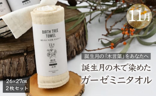 11月「銀杏(イチョウ)」の木言葉 「長寿」　 BIRTH TREE TOWEL  | RYOKUSUIEN 緑酔園 草木染め THE NEWOLD WORKS バースツリータオル 銀杏 イチョウ ガーゼ タオル ハンカチ  ふわふわ 植物 草木染ガーゼ アップサイクル エシカル ヘリンボーン ギフト贈り物 お祝い プレゼント 母の日 父の日 記念日 誕生日 埼玉県 草加市 草加