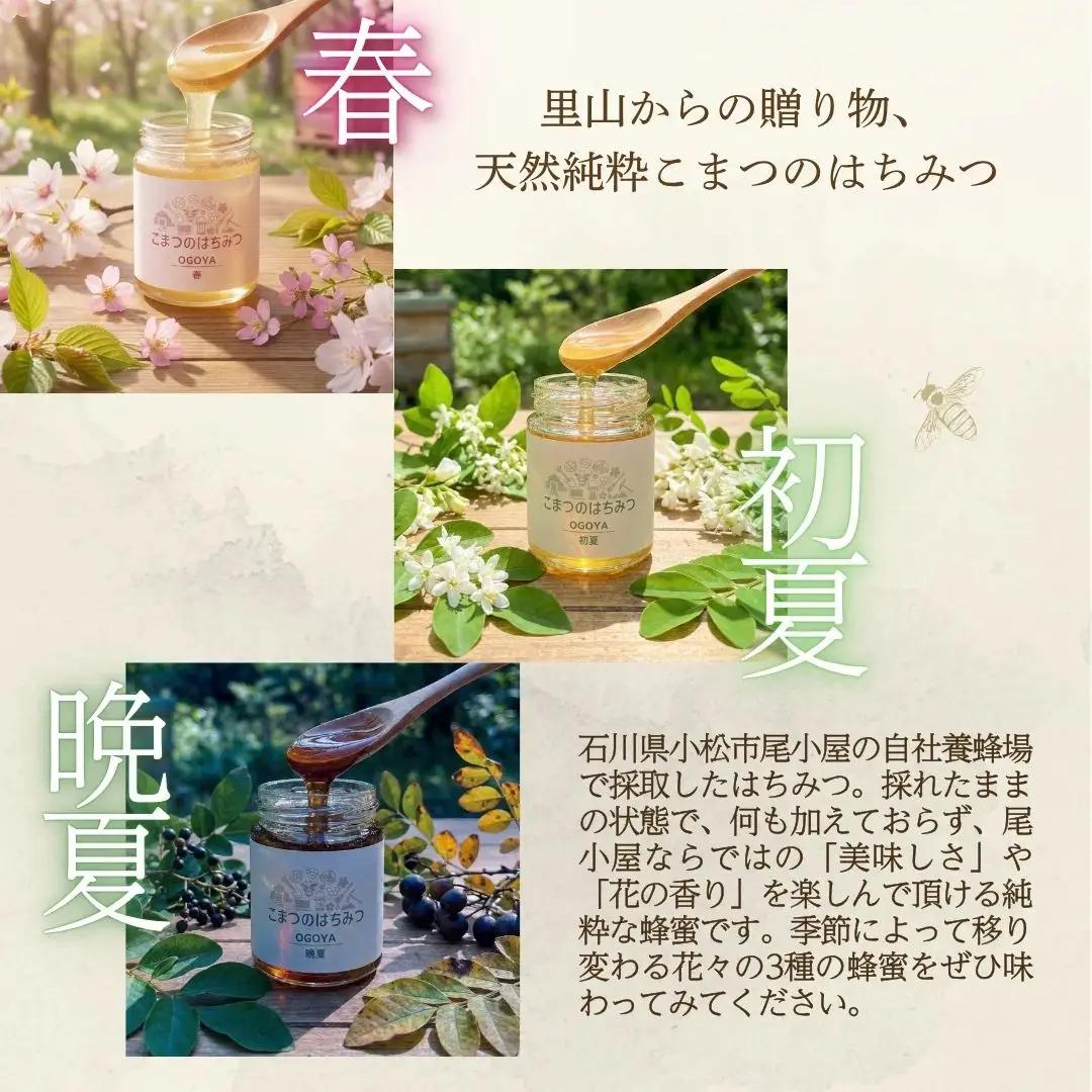 国産はちみつ 70g×3種類 食べ比べ セット 蜂蜜 はちみつ 石川県 小松市